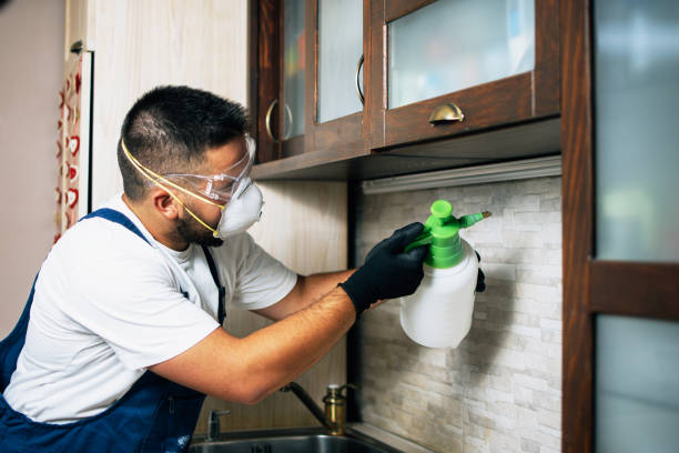 Best Pest Control for Homes  in Highland Park, MI