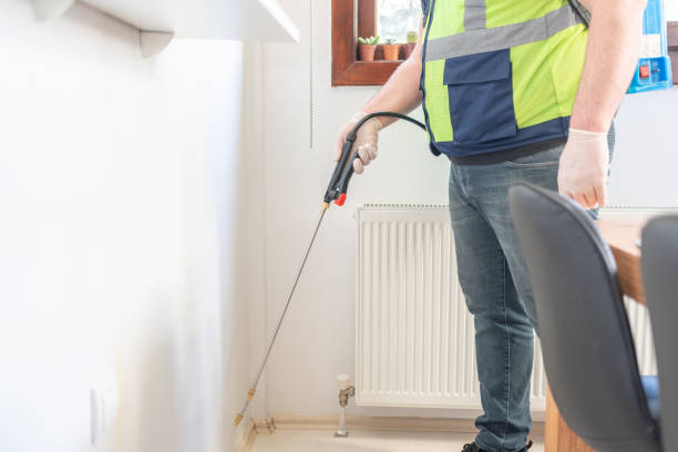 Best Affordable Pest Control Services  in Highland Park, MI