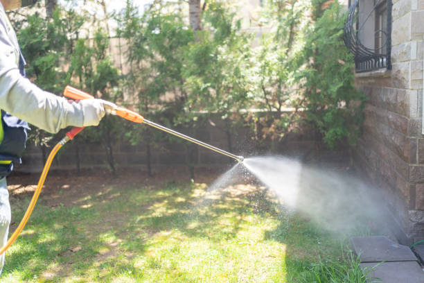 Best Commercial Pest Control Services  in Highland Park, MI