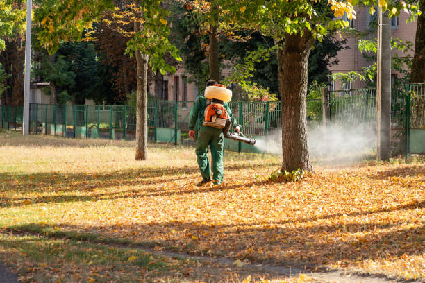 Best Pest Inspection Near Me  in Highland Park, MI