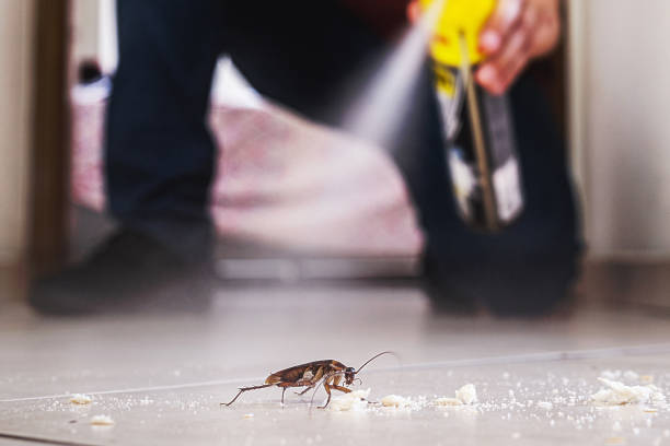 Best Pest Prevention Services  in Highland Park, MI